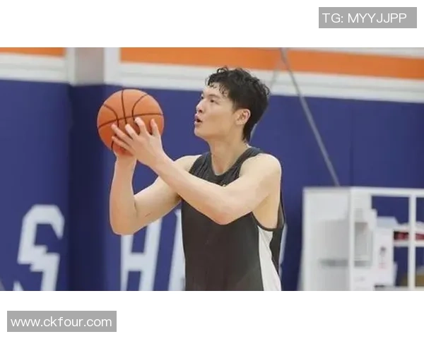 王哲林在CBA赛季中的表现分析与未来发展潜力探讨